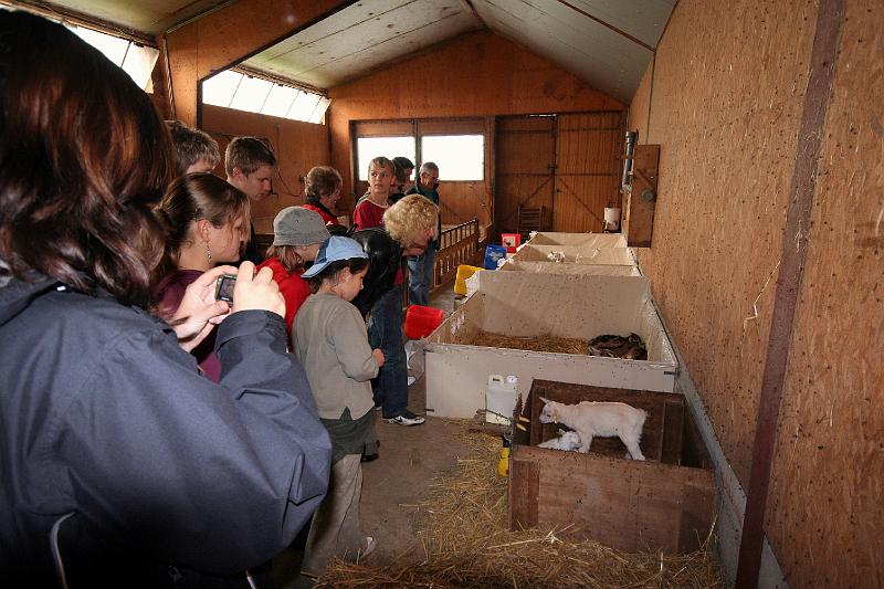 b - A la ferme (11).jpg - A la ferme - tout-juste nés